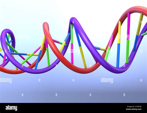 3d double helix dna model.